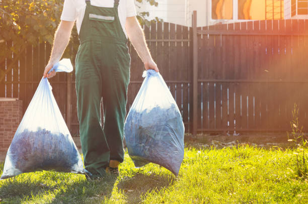 Best Electronics Removal Services  in Minneapolis, MN
