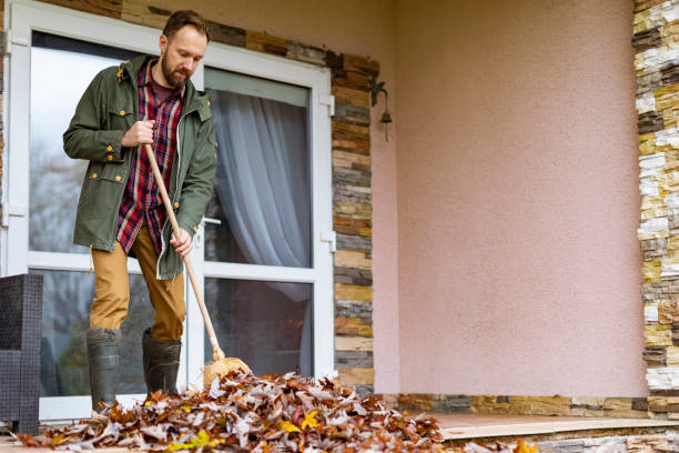 Yard Cleanup Services in Minneapolis, MN